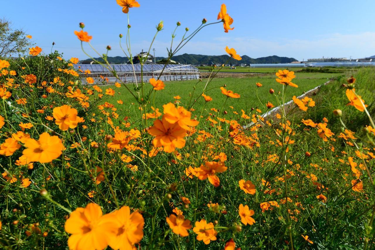 Haruno Guesthouse Kōchi Zewnętrze zdjęcie